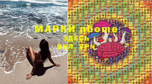 мяу мяу мука Вязьма